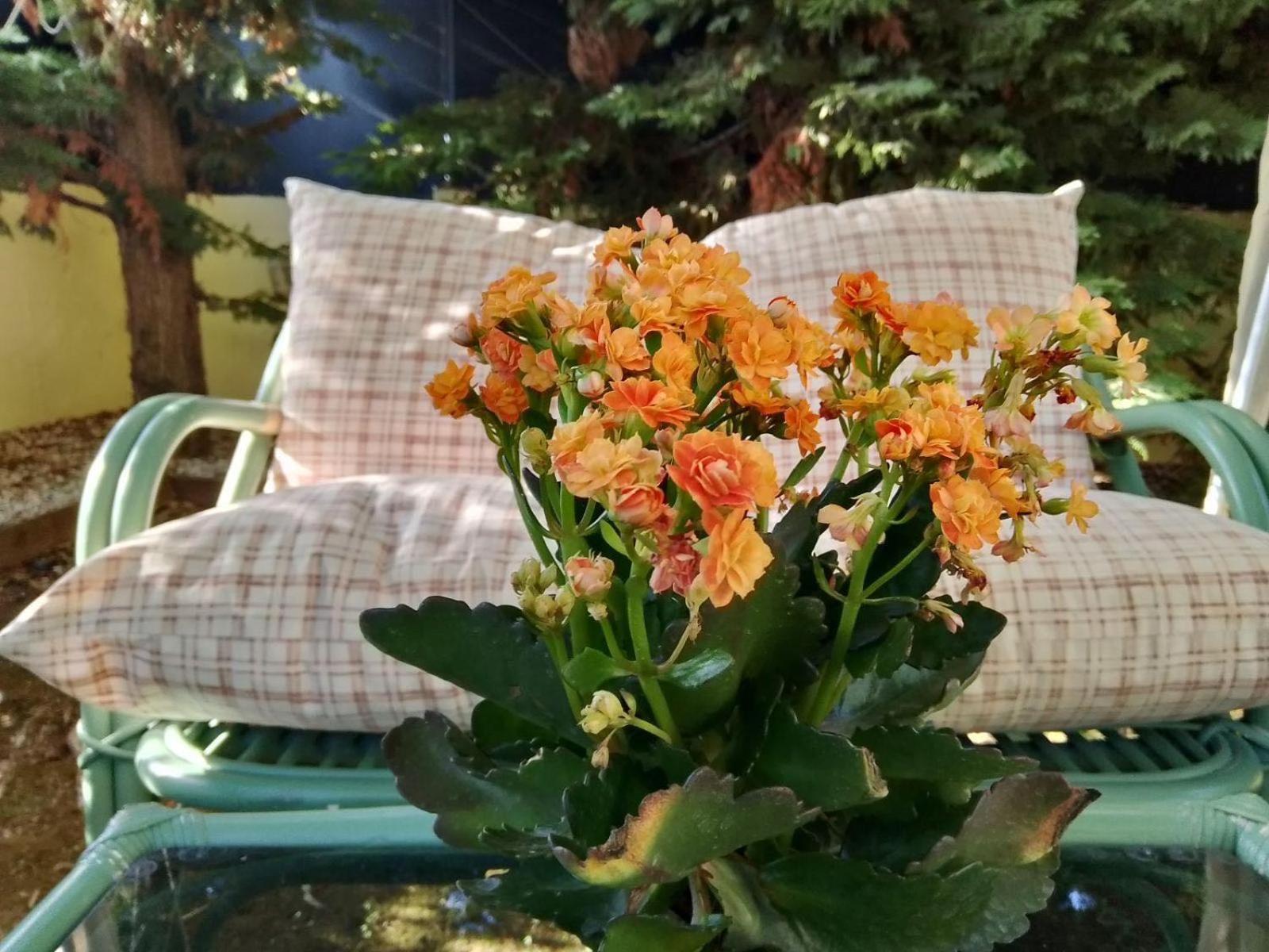 Like My Home Artemida  Ngoại thất bức ảnh