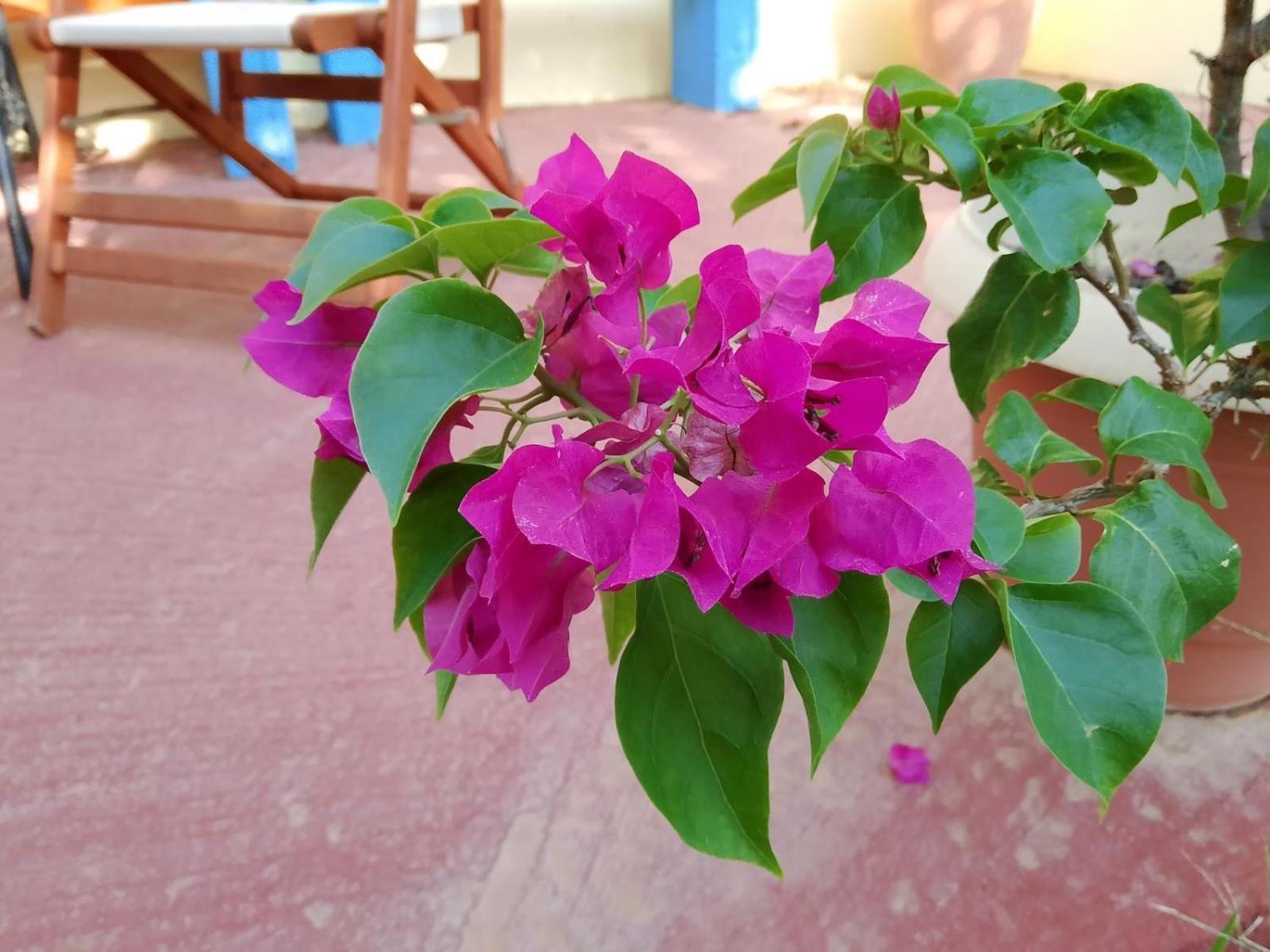 Like My Home Artemida  Ngoại thất bức ảnh